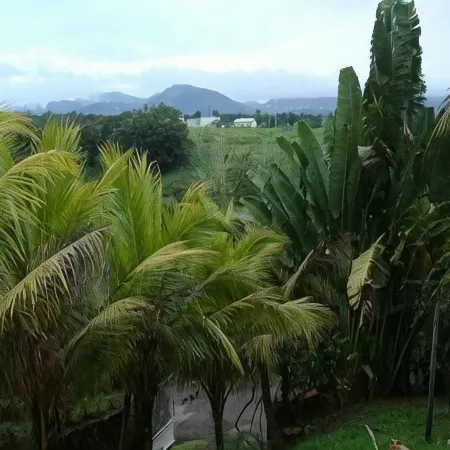 Quiet cottage in beautiful location on the edge of rainforest,