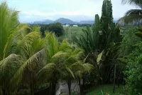 Quiet cottage in beautiful location on the edge of rainforest,