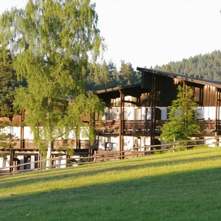 Waldhotel Bächlein
