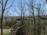 Super cute & comfy 2 1/2story lake house by Bull Shoals lake 1hr east of Branson Hotels in Ozark County