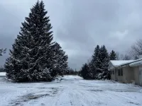 Ski - Snowmobile - Pet Friendly - Trailer Parking - 5 Mins to Crystal - Wifi