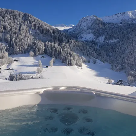 A Rare Nugget in the Mountains - Chalet with Authentic Charm - Spa - Unique Atmosphere