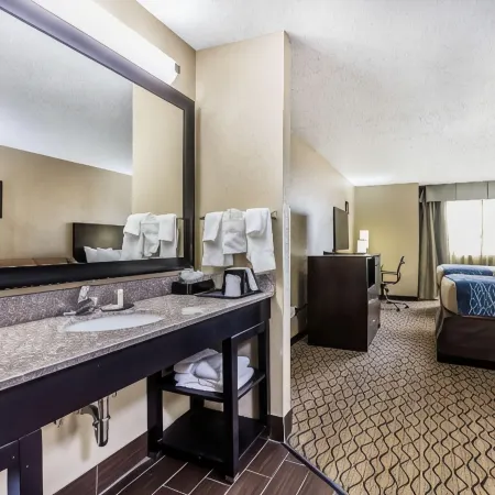 Comfort Inn & Suites Crystal Inn Sportsplex