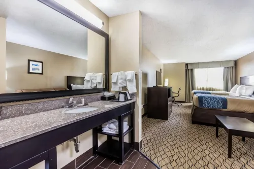 Comfort Inn & Suites Crystal Inn Sportsplex - que admiten mascotas