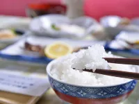 Ebisuya Ryokan - pet friendly