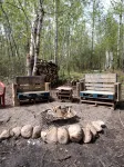 Story-book Cabin in the Woods above Lake Superior, near Grand Marais. -New Sauna