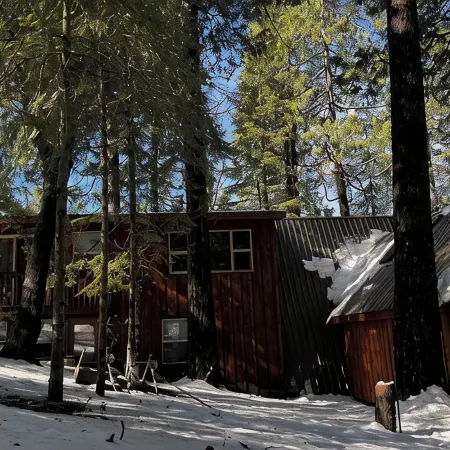 Charming cabin in pleasant Auberry close to Shaver Lake. A hidden treasure!