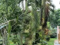 Coqui Town, A Tropical Oasis. 2BR, Solar panels & Pool in Arecibo Hotels in Arecibo