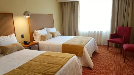 Hotel Las Lengas