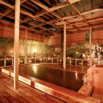 Shiobara Onsen Yamaguchiya Ryokan - Hot Springs