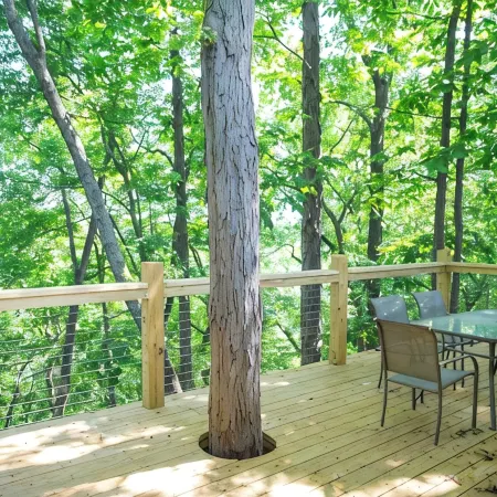 Mammoth Cave, WKU, Barren River Lake, Travel Sports, Corvette