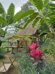 Kebun Hanoman Villa - Виллы