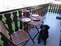 Very well appointed Apartment in Chatel , very convenient for shops ,restaurants - 3つ星