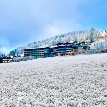Natura Hotel Bodenmais - Inkl Soft- Und Heißgetränkeflat