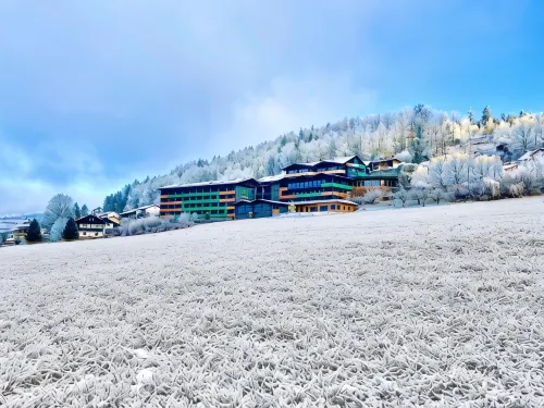 Natura Hotel Bodenmais - Inkl Soft- Und Heißgetränkeflat