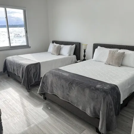 Come enjoy our"beautiful new modern guest house" with a view to the ski mountain