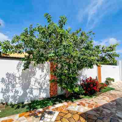 Studio Cocolishi, Walking - 10 min from the beach Hotel Exterior