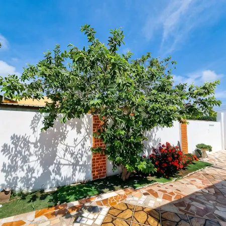 Studio Cocolishi, Walking - 10 min from the beach