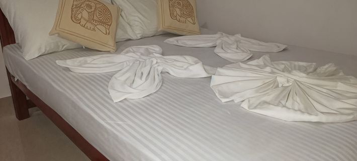 Ssc VIlla Hotels in Polonnaruwa