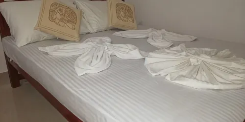 Ssc VIlla - Guest houses