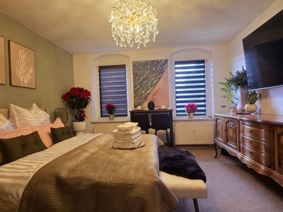 Cozy, pet-friendly one-bedroom apartment in Meißen