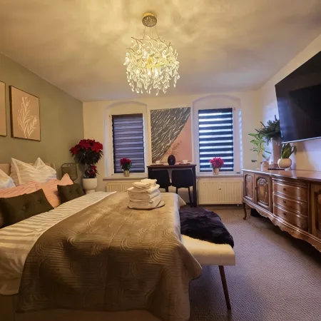 Cozy, pet-friendly one-bedroom apartment in Meißen