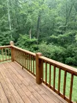 BearPaw Cabin- Charming and cozy cabin in the woods- WiFi-Pet Friendly-Secluded - Chalets