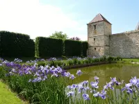 Manoir du Plessis au Bois - Bed and Breakfast