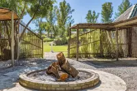Shumba Valley Lodge - Lodges