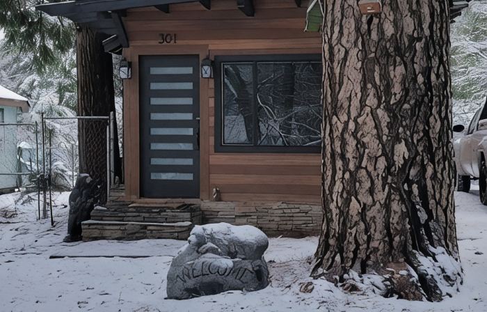 Cozy modern little cabin in Crestline