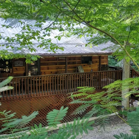 Private - Spacious- Creek Lined Cabin