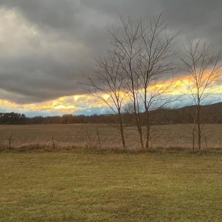 Wildwood Retreat