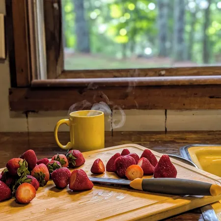 HOT TUB! Nature Delight! 2 Acre Cabin Hot Tub- Creek & Dog Friendly Fast WIFI!