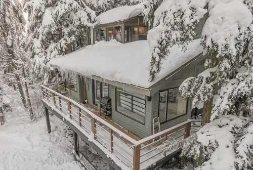 Amazing cabin close to lifts, brewery, dining, hiking and biking. - Alphydda