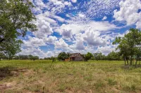 Peaceful cabin, fully updated, wine, stars, spa, perfect for relaxing - Chalets