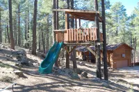 Luxury Secluded 4BR Cabin in Pines on 3 acres - Flagstaff/ Grand Canyon - 3성급