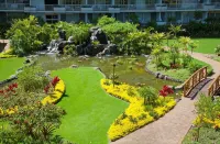 World Famous Beach with Black Rock Views, Great Snorkeling, Dining & Shops # 412 - Private Pools