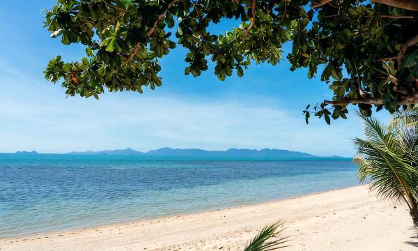 Oceanfront Villa at Bang po Beach Koh Rooms