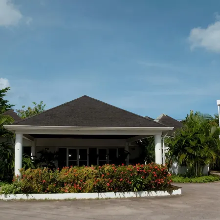 Negril Palms