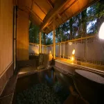 Ryokan Tanigawa - Hot Springs