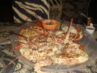 Game Fish Lodge - Pet friendly