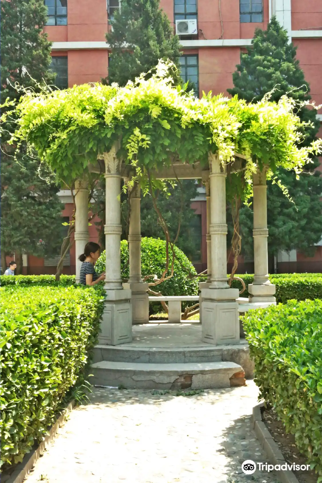 Hotels near Beijing Traditional Chinese Medicines Museum of Beijing College of Traditional Chinese Medicine