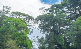 Cabañas Hoja Verde - Housity