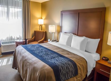 Comfort Inn Roseburg