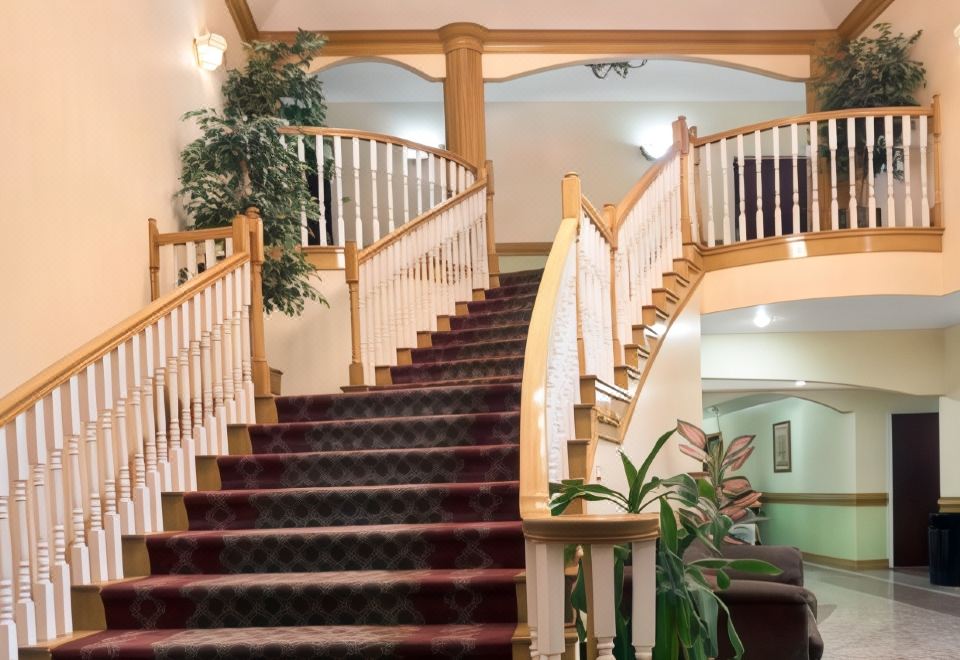 2. 슈퍼 8 쿡 시..