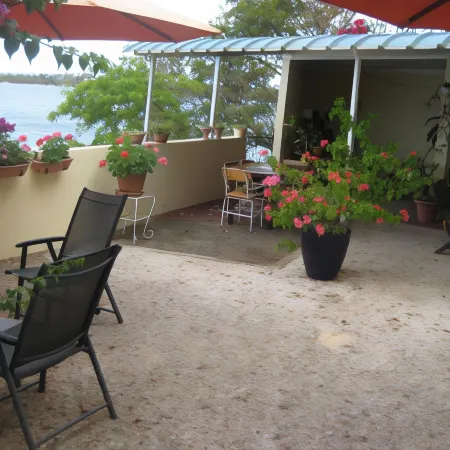 Le Cactus Guesthouse