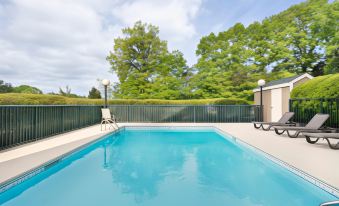 a large swimming pool with a clear blue water and white lounge chairs is surrounded by trees and a metal fence at Country Inn & Suites by Radisson, Burlington (Elon), NC