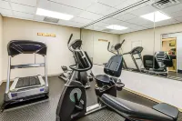 Quality Inn Airport I-240 - gimnasio