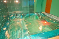 Olimp Hotel Hotel in zona San Pietroburgo Rzhevka