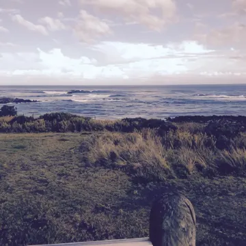 Wytonia Beachfront Accommodation